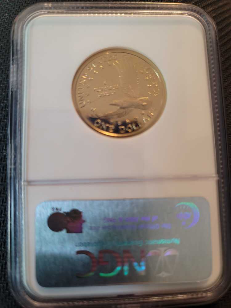 Sacagawea Dollar 2003 S 70  coin collectible - Main Image 2