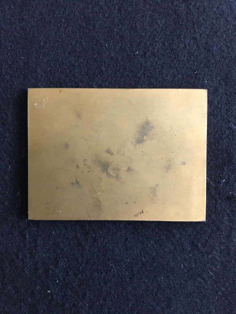 Lion Of Belfort Medal (Dup)  coin collectible - Main Image 2