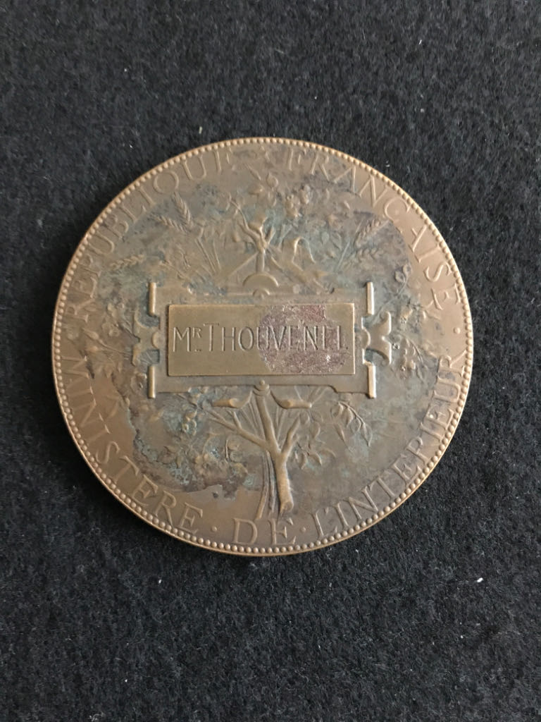 Protection Of The First Age Medal  coin collectible - Main Image 2