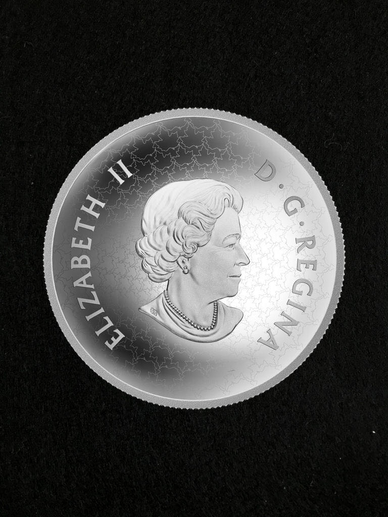 Maple Leaves In Motion  coin collectible - Main Image 2