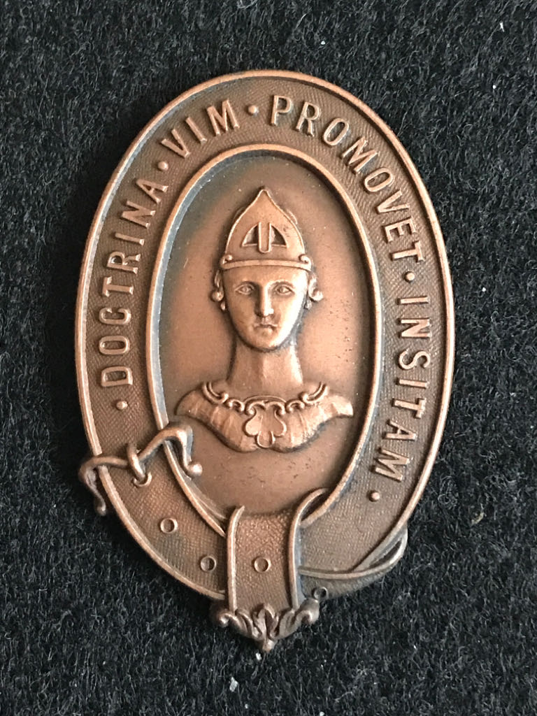 Hollywood Studios Stitch