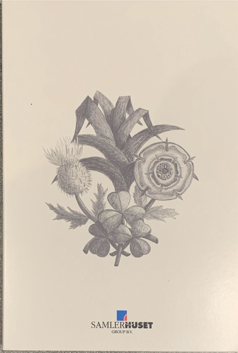 Her Majesty A life In Pictures - Her Oath  coin collectible - Main Image 4