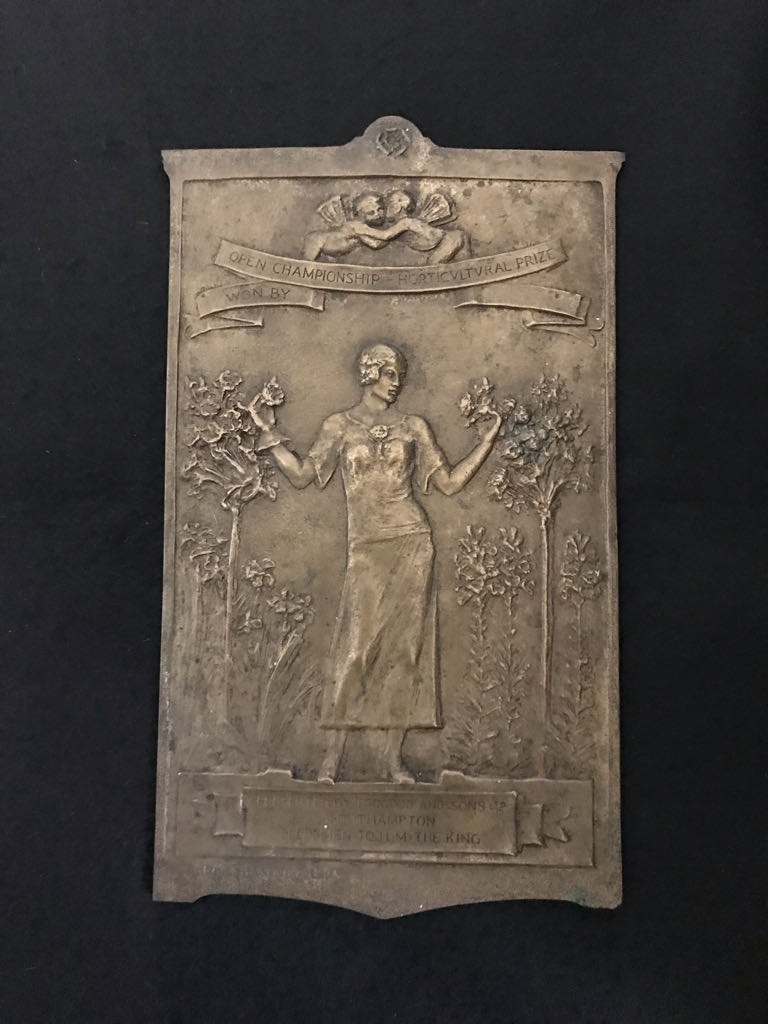 Maritime England Medal