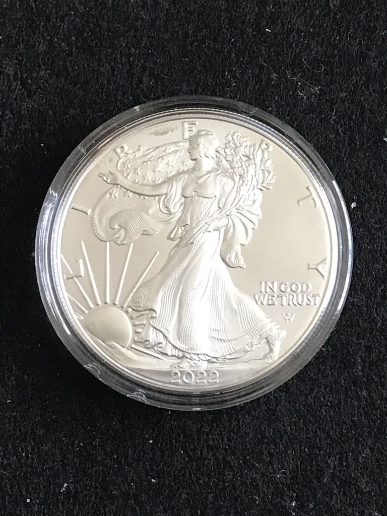 US Eagle Silver Bullion  coin collectible - Main Image 2