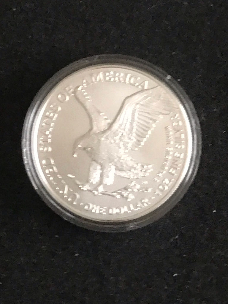 US Eagle Silver Bullion  coin collectible - Main Image 2