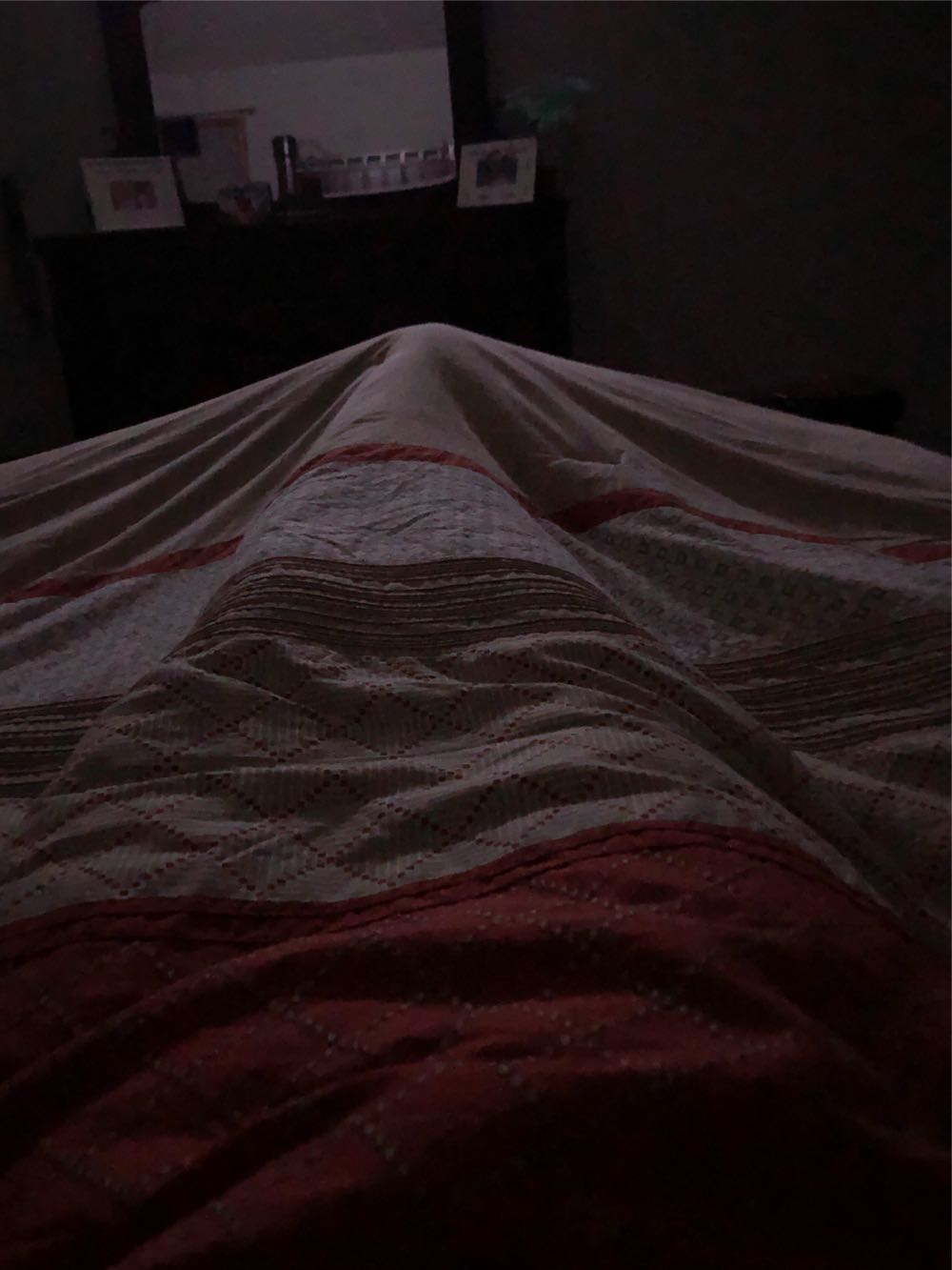 Canada 1 Cent 2006 KG Elizabeth 2ND (C#011)