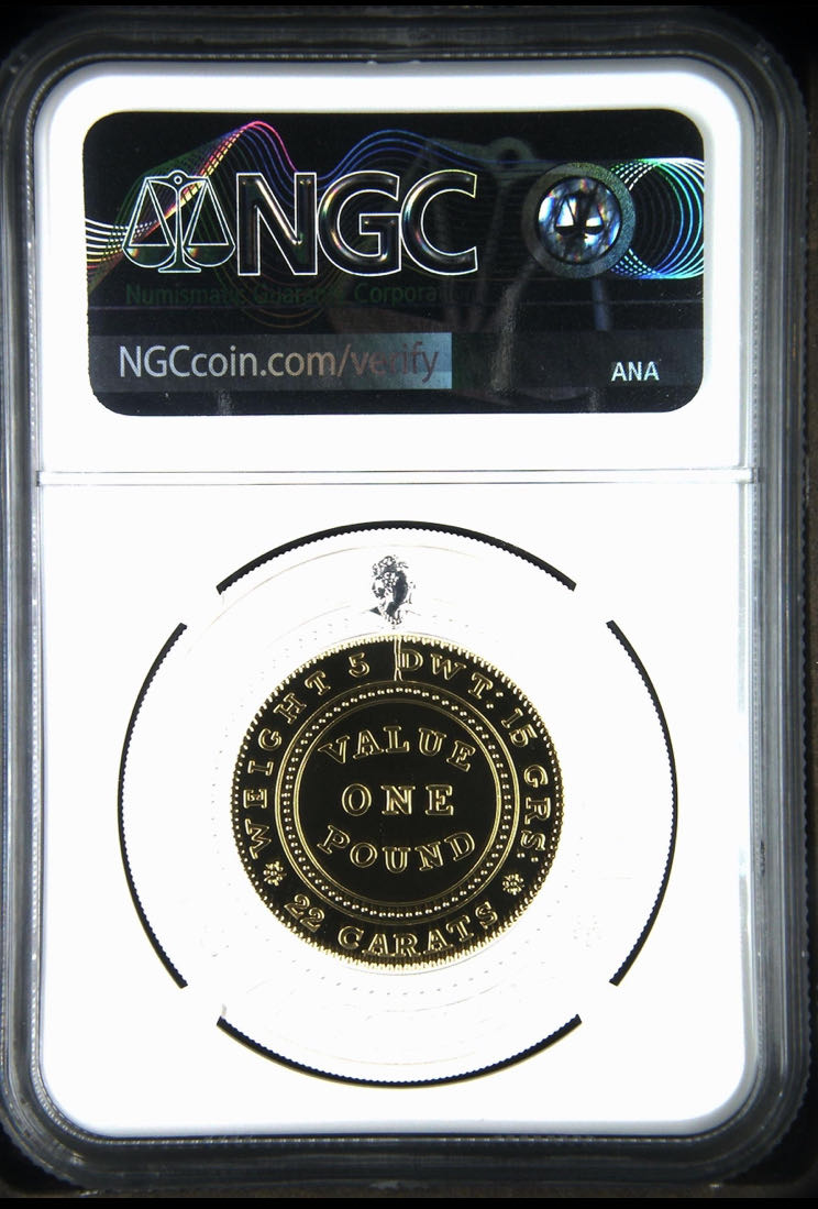 2020P Adelaide Pound  coin collectible - Main Image 4