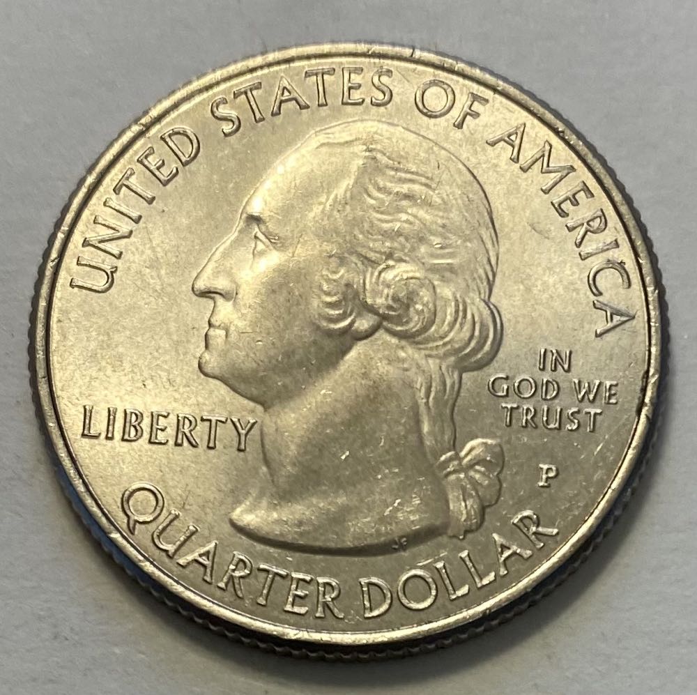 Specimen Set - Snow Goose