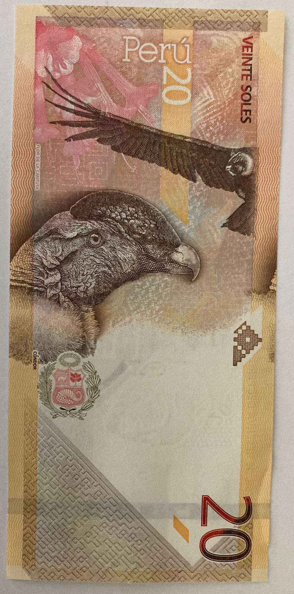 Veinte Soles  coin collectible - Main Image 4