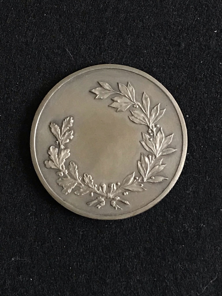 Boxing Medal  coin collectible - Main Image 2