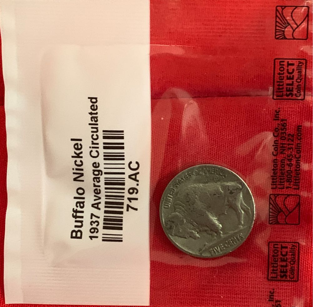 Discovery Park Of America (TRex Skull)