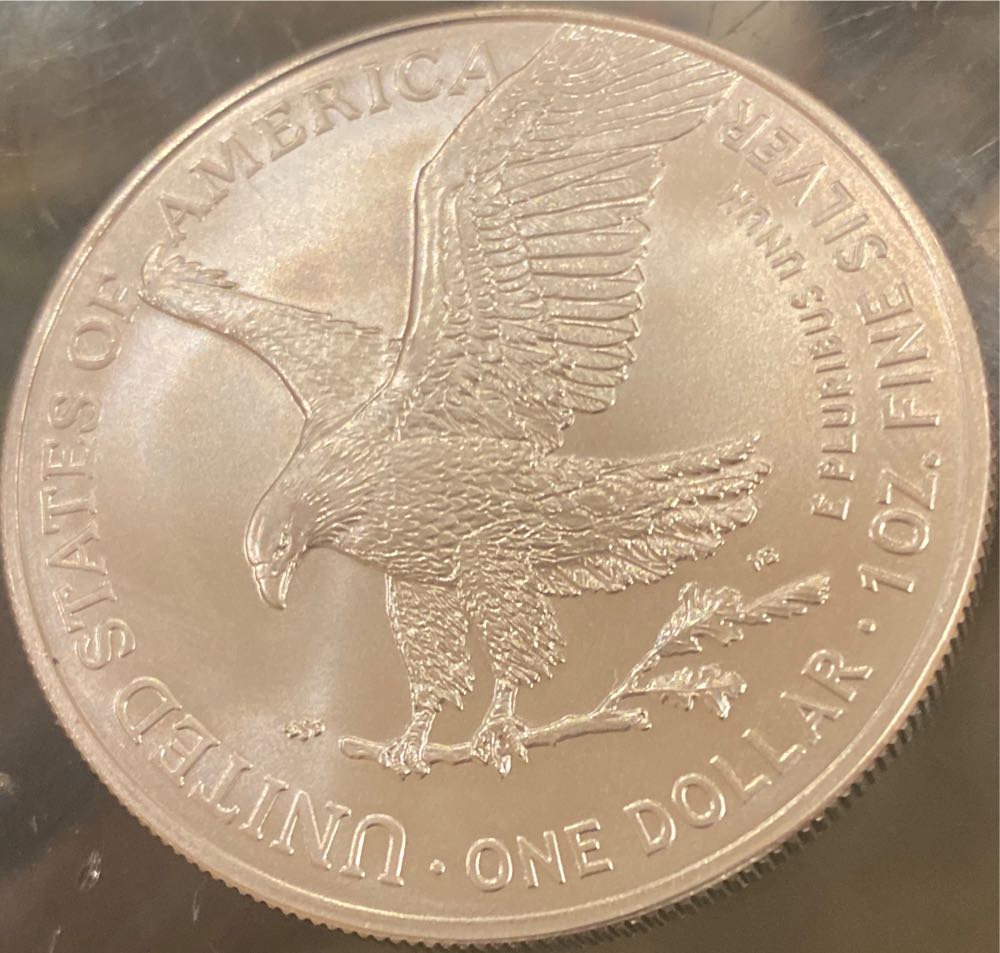 Slab 2020-S American Silver Eagle FDOI NGC No 6078317-096  coin collectible - Main Image 2