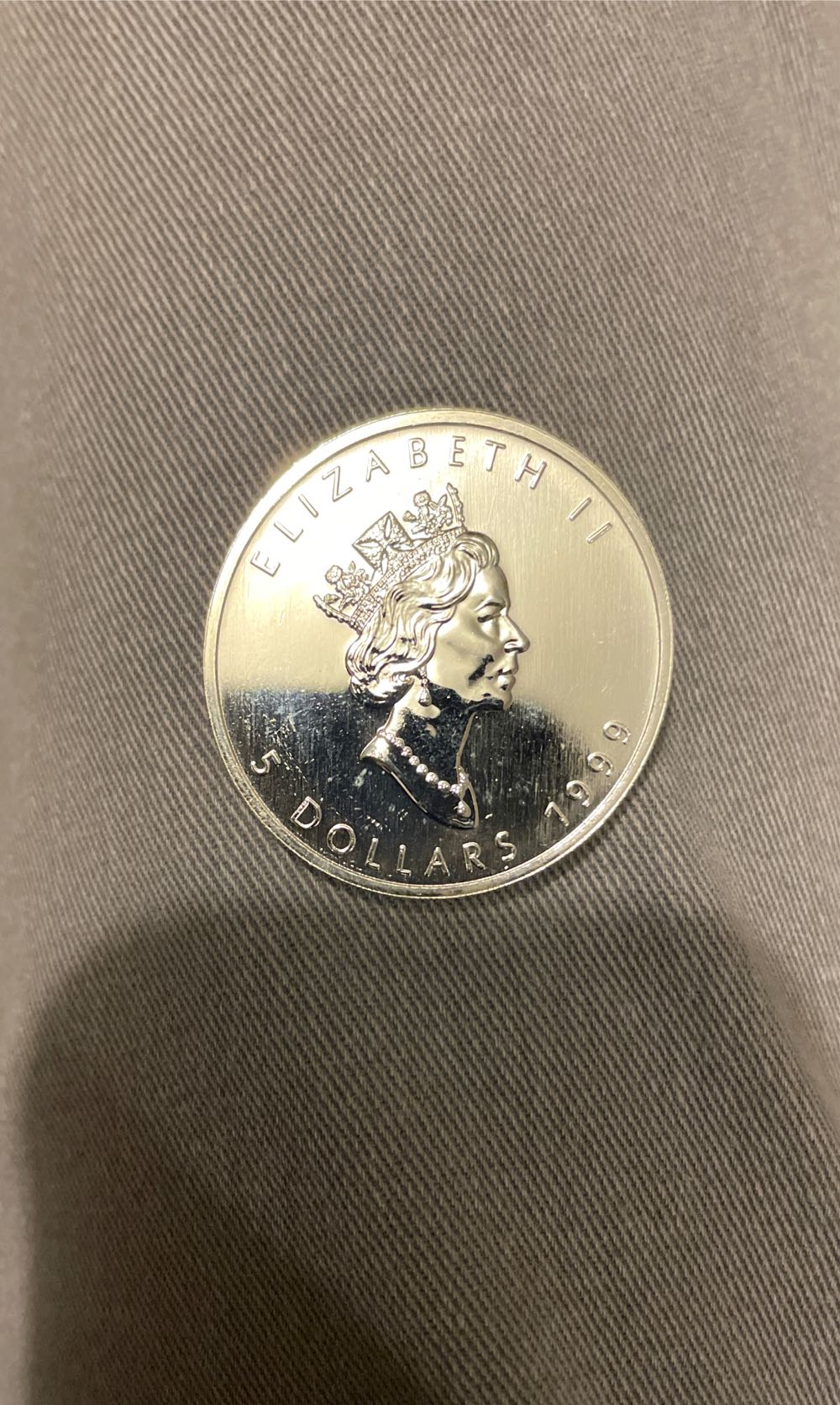 Field Museum (brontosauruses)