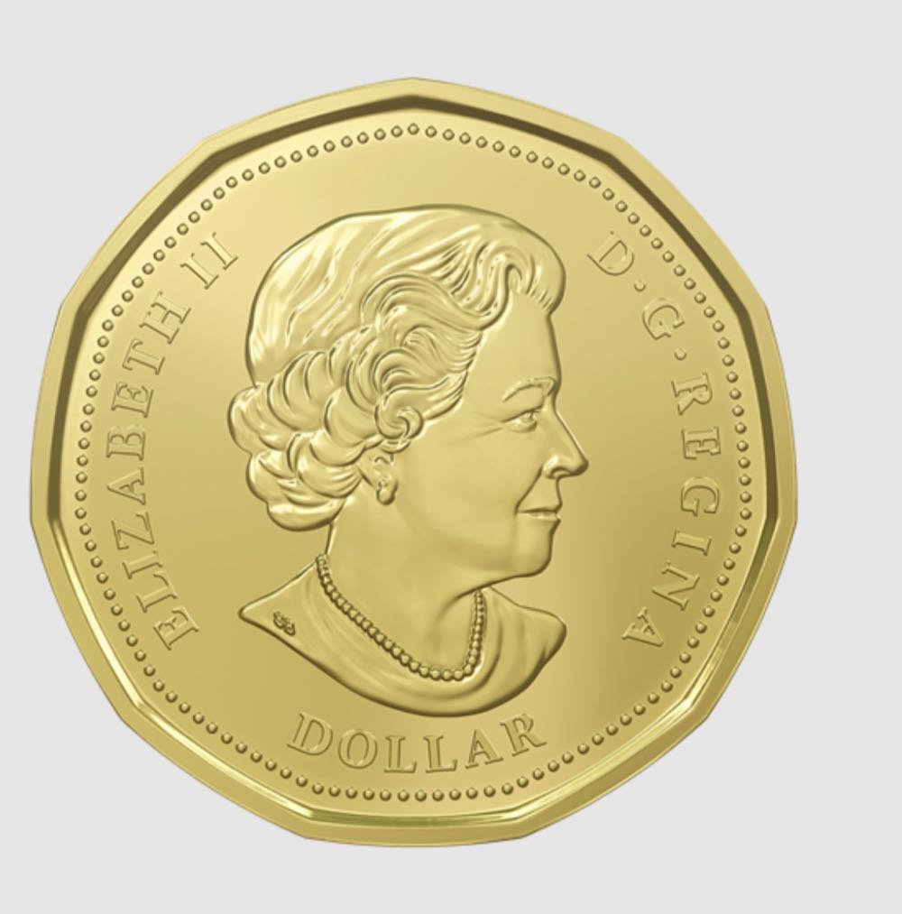 Lucky Loonie 5-pack  coin collectible [Barcode 623932074279] - Main Image 3