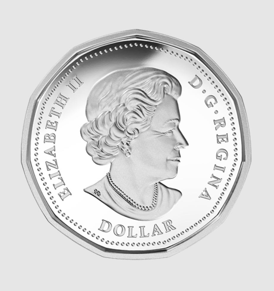 Lucky Loonie - Silver  coin collectible [Barcode 623932074842] - Main Image 3