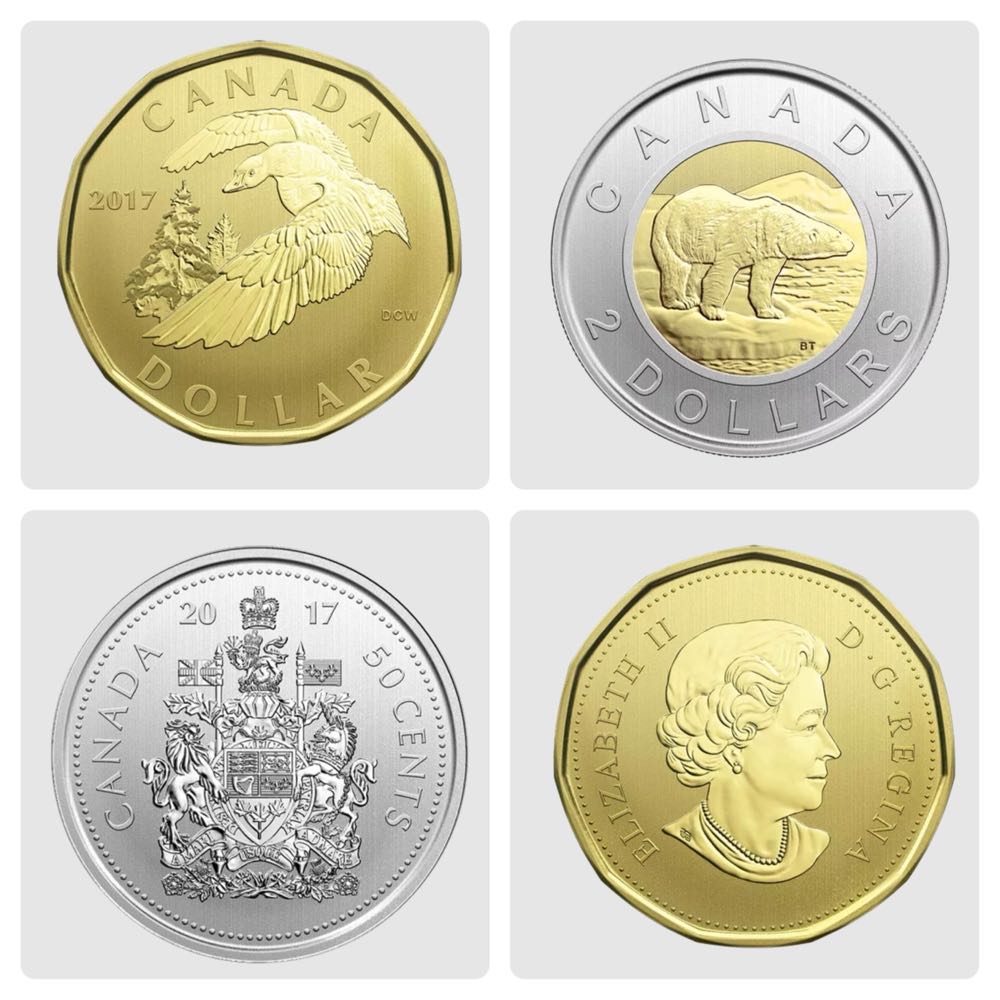 Specimen Set - Snow Goose  coin collectible [Barcode 623932080287] - Main Image 3