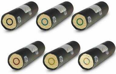 Susan B Anthony 1979 P&S