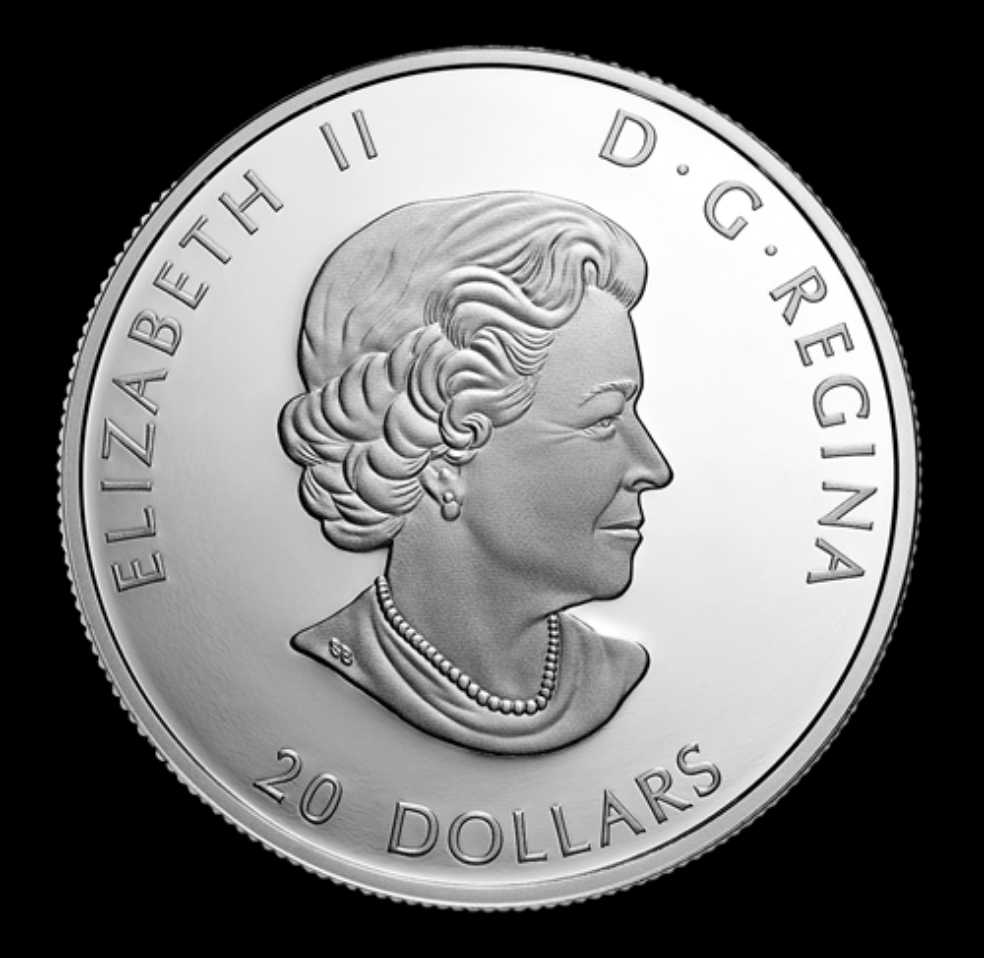 Remembrance Day  coin collectible - Main Image 2