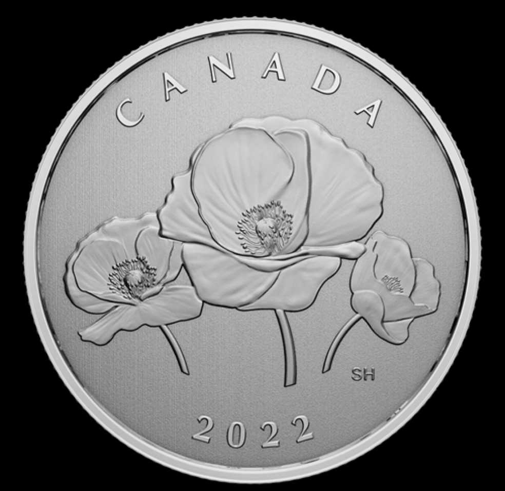 Moments to Hold: Remembrance Day  coin collectible - Main Image 2