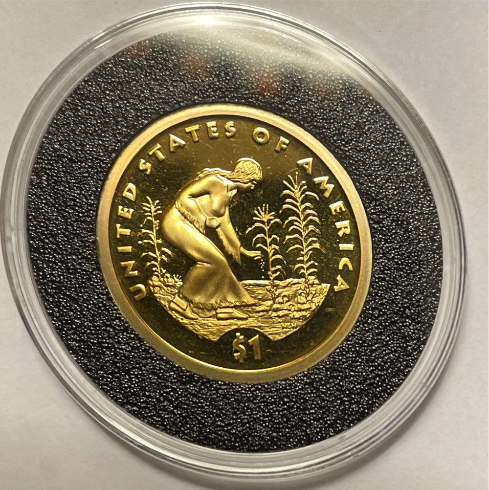 Sacagawea Dollar 2009 S Proof  coin collectible - Main Image 2