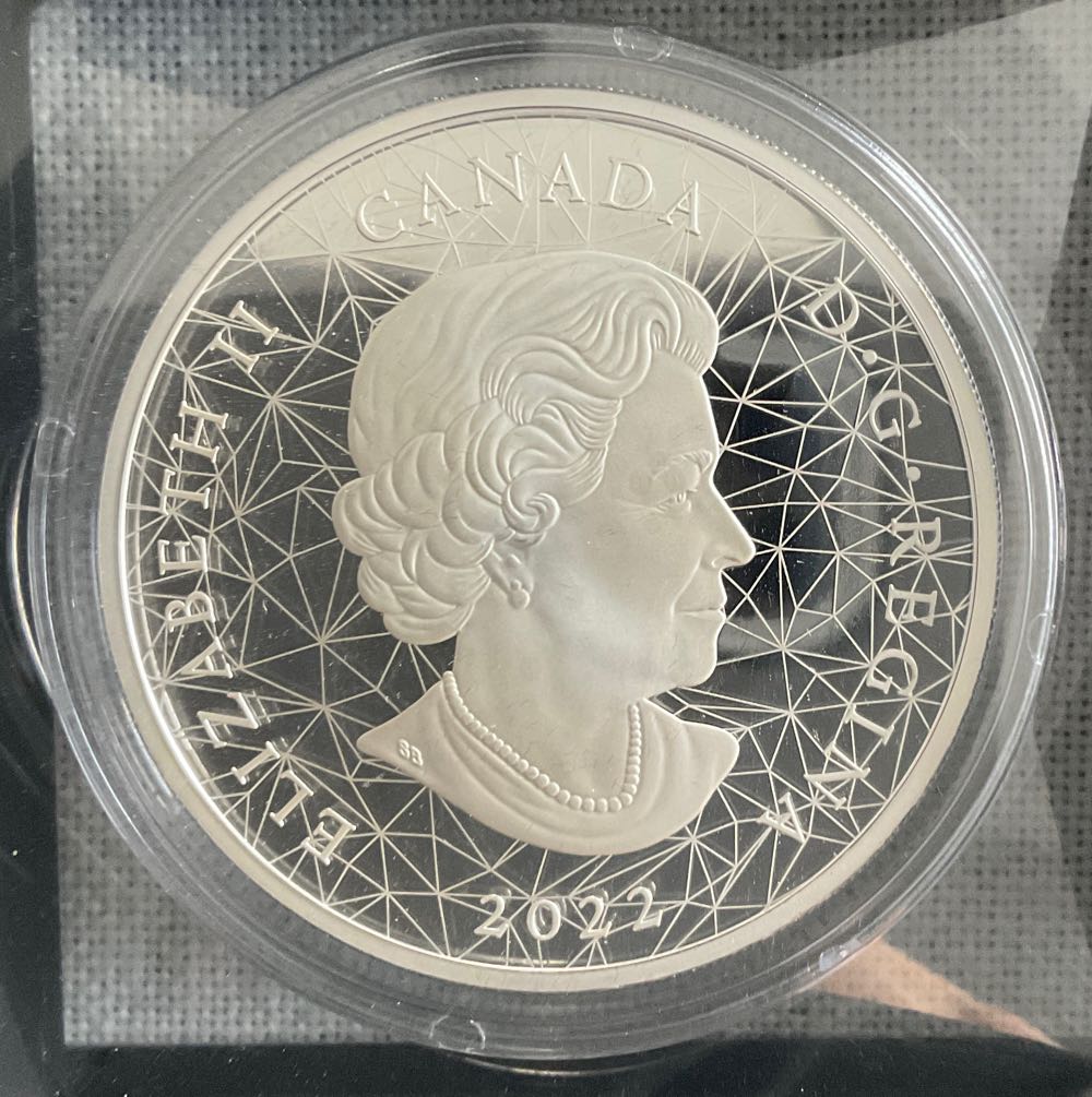 Famille D’animaux À Multiples Facettes Pygargues À Tête Blanche  coin collectible [Barcode 623932108745] - Main Image 2