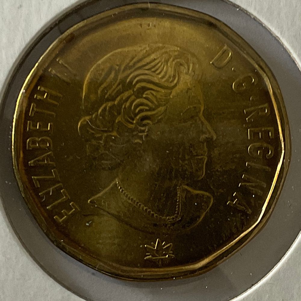 Dollar 2017  coin collectible - Main Image 2