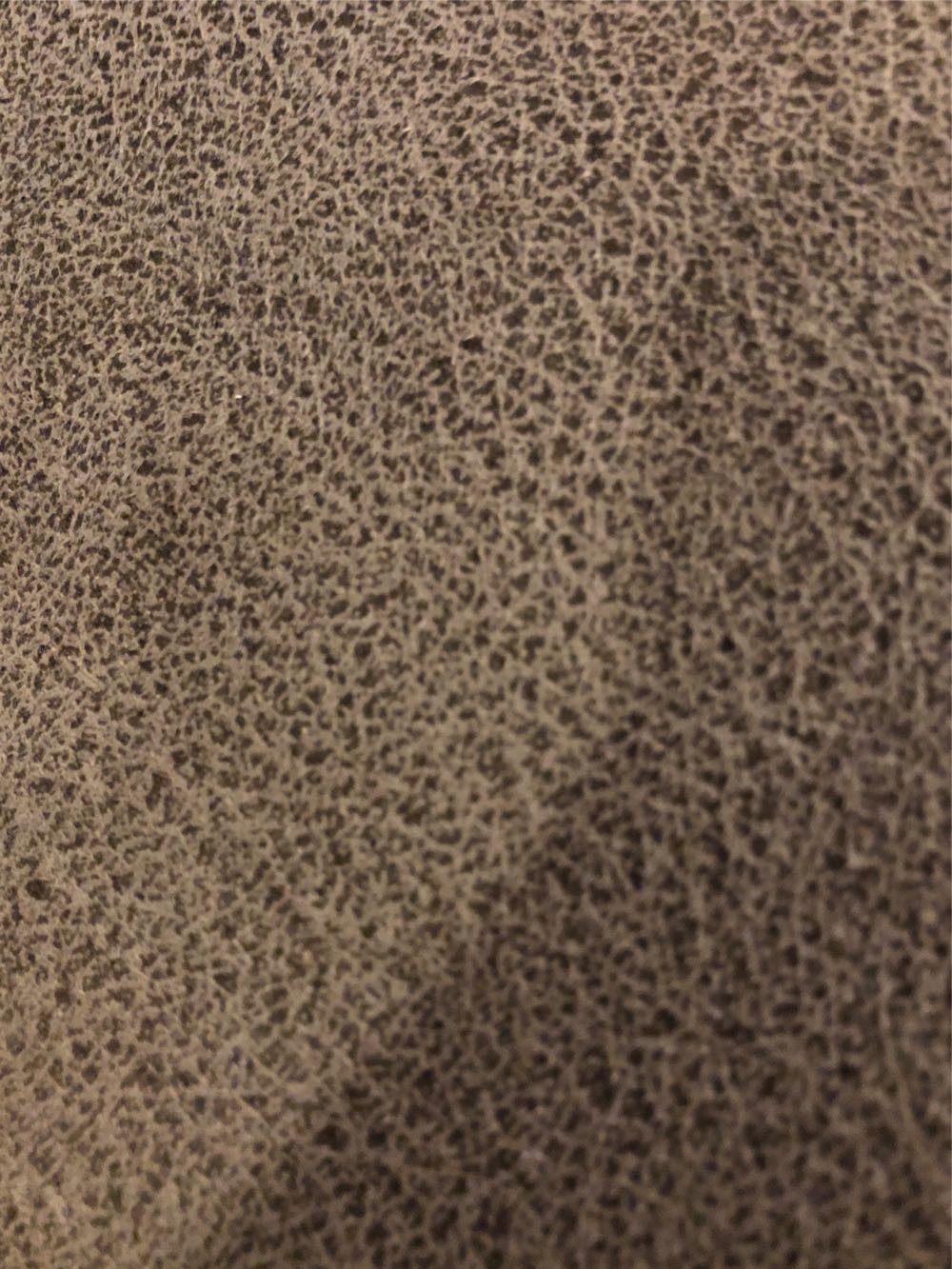 Half Dollar- Walking Liberty