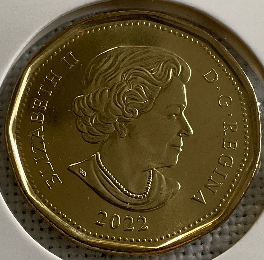 Dollar  coin collectible - Main Image 2