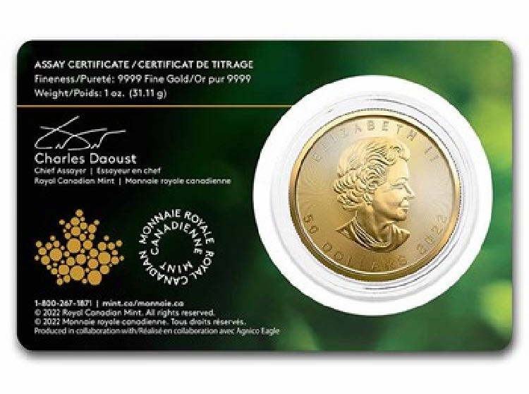 2022 Maple Leaf  coin collectible - Main Image 2