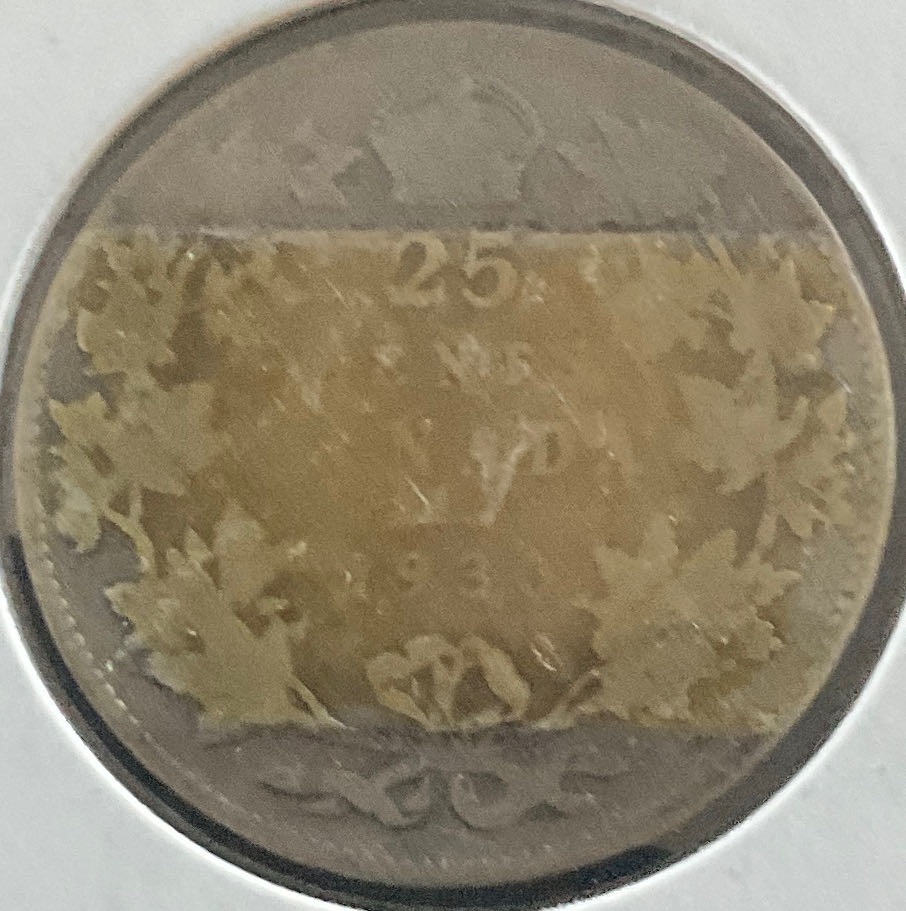 Morgan Dollar 1881