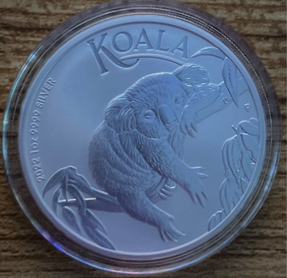 Magic Kingdom (Jungle Cruise Elephant)