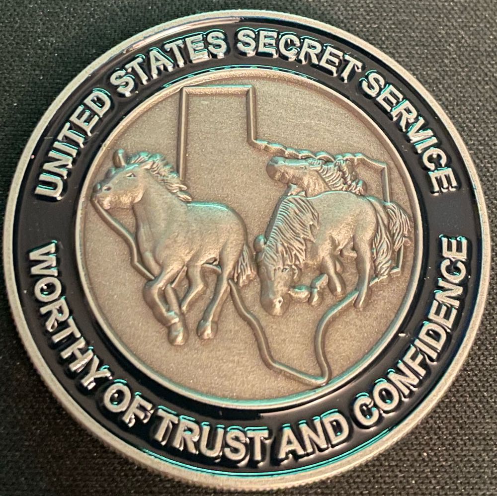 2021P Wedge-Tailed Eagle