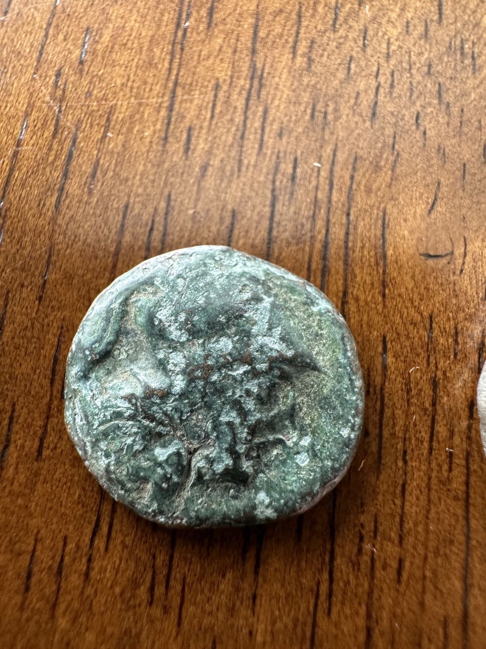 Antigonus Gonatas Dichalkon  coin collectible - Main Image 3