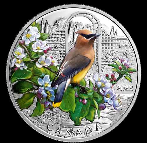 2020 Native American $1 Coin