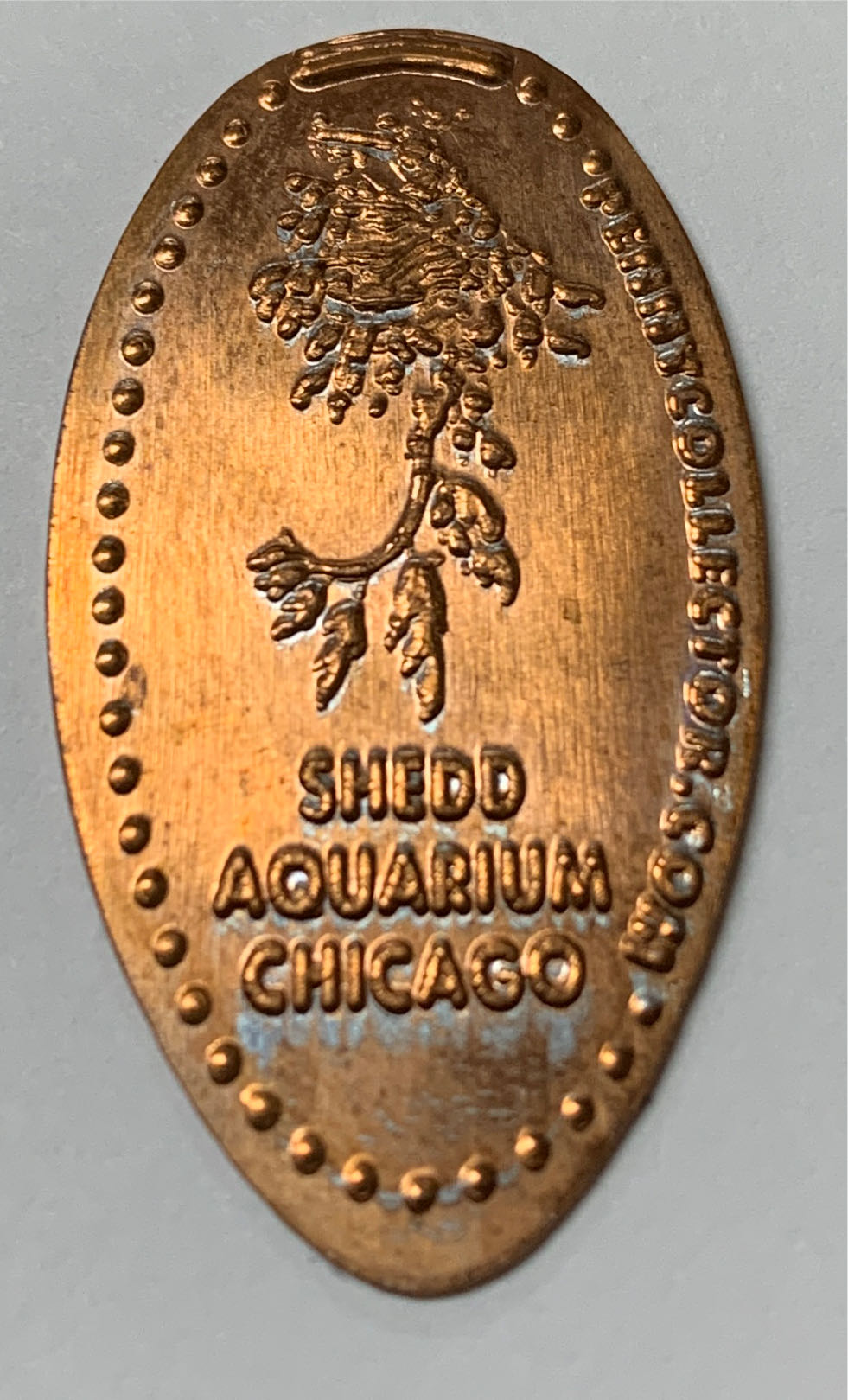 Shedd Aquarium, Chicago (Jellyfish)  coin collectible - Main Image 1