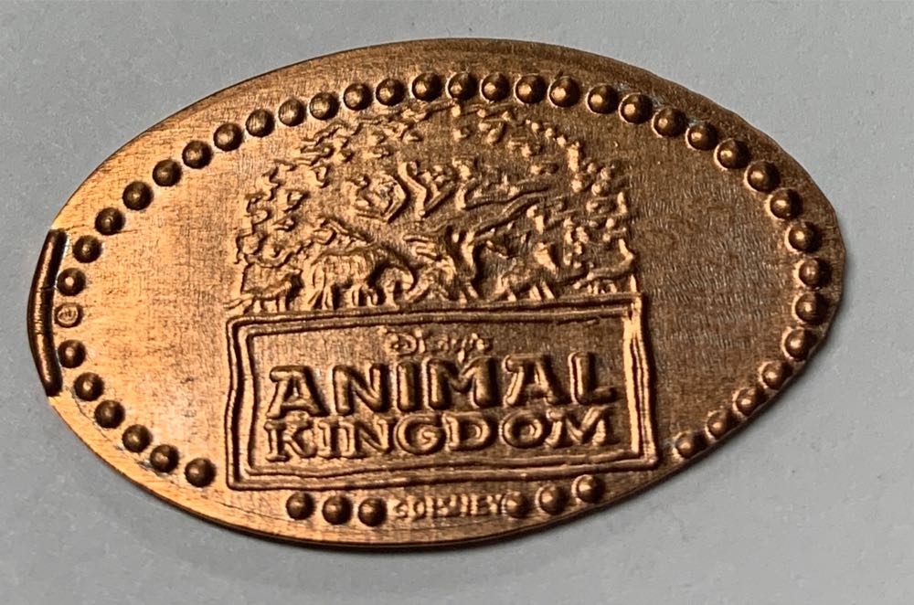 Cambodia Clouded Leopard