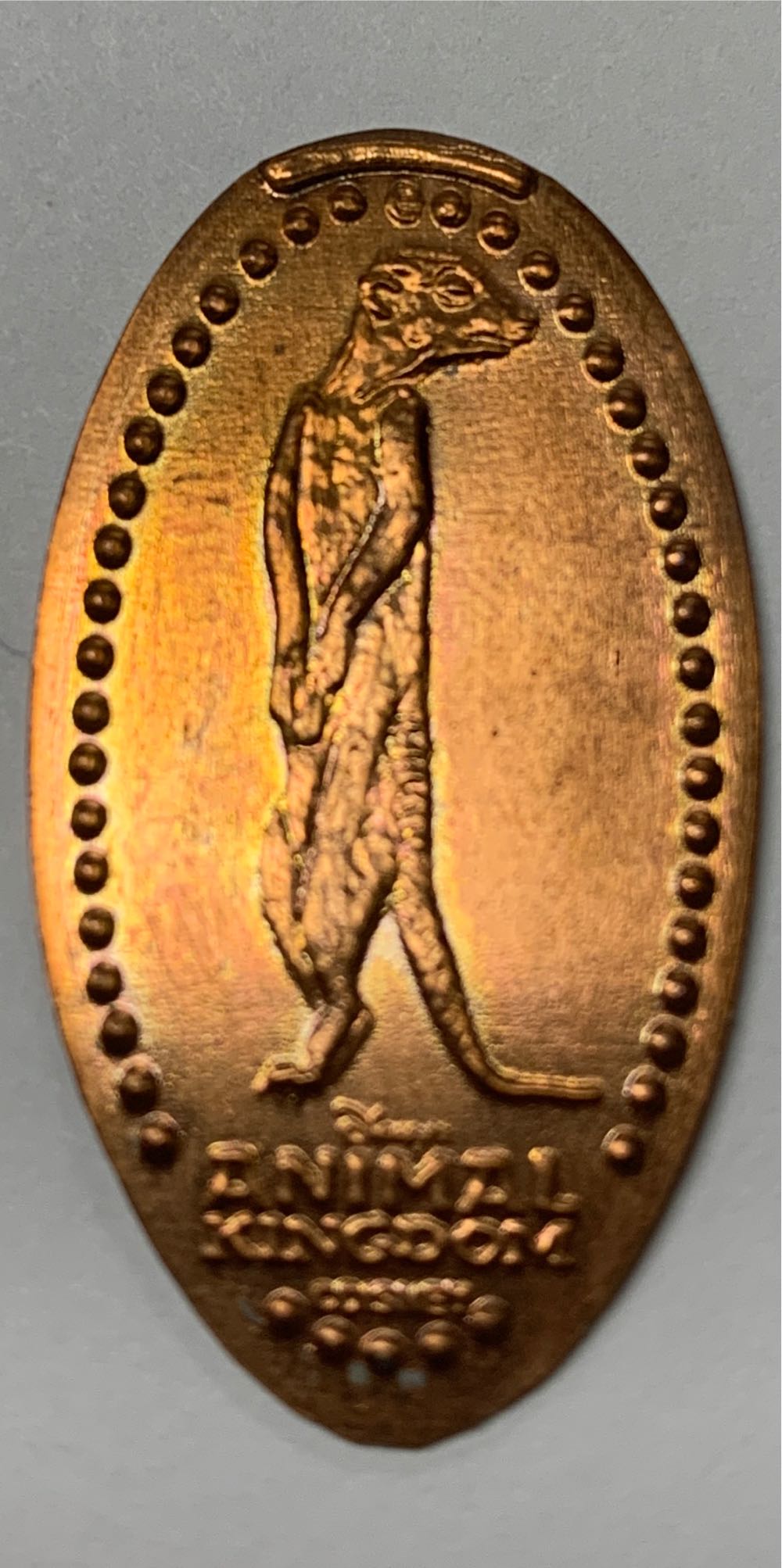 Large Cent