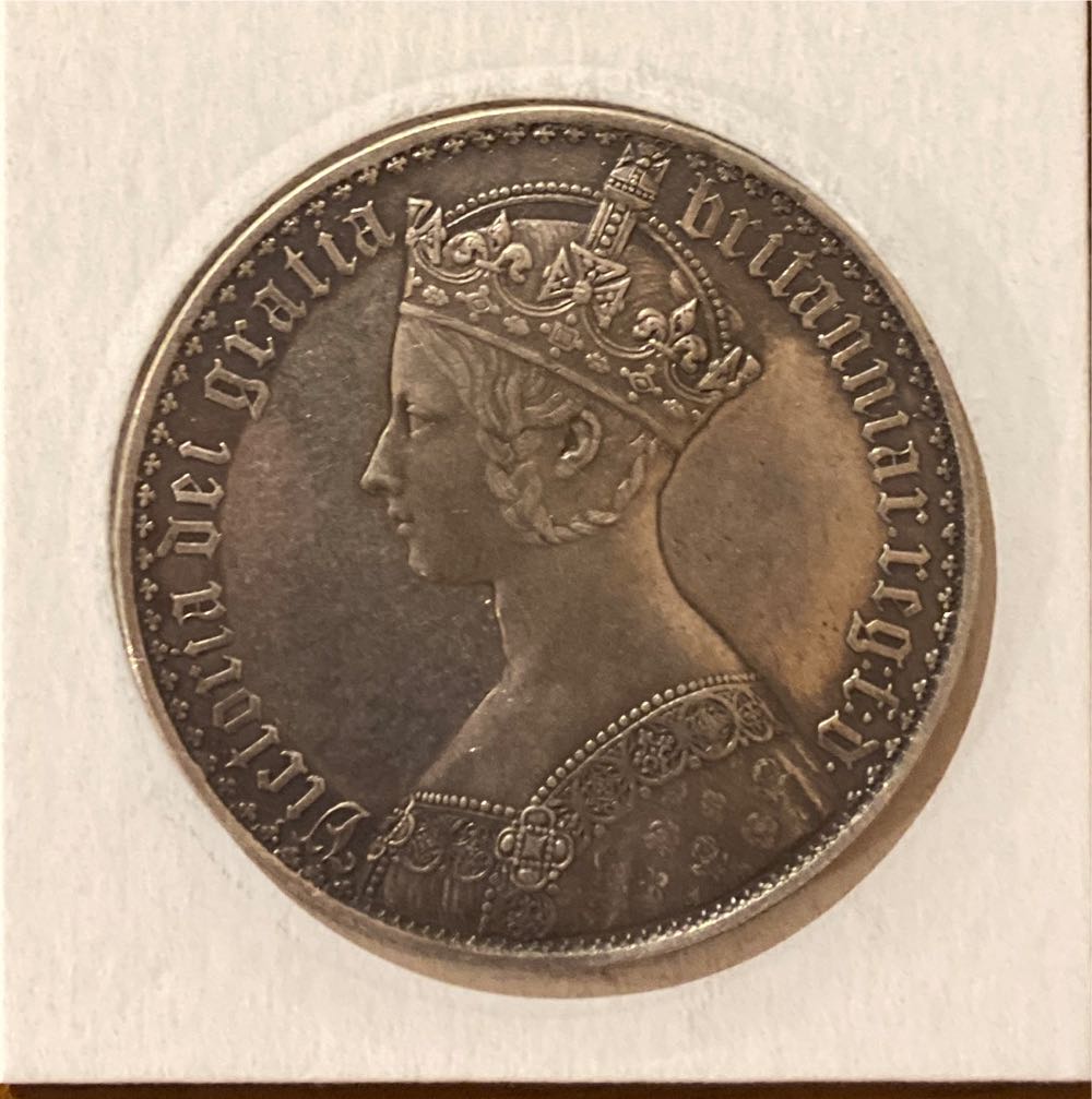 Specimen Set - Snow Goose