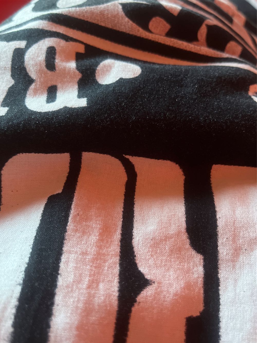 Specimen Set - Snow Goose