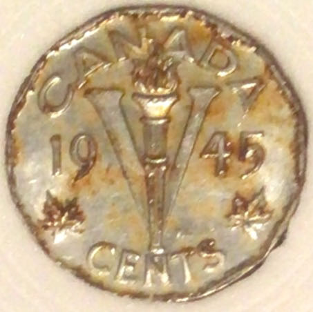 Wood Ferbie The Frog