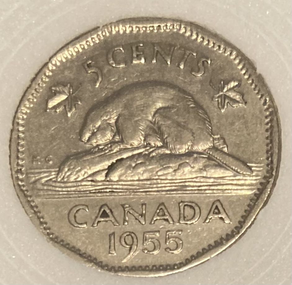 Magic Kingdom, Pirates Of The Caribbean (Mickey With Parrot)