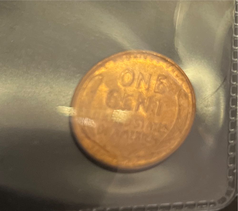 Wheat Back Penny - 1954 D  coin collectible - Main Image 2