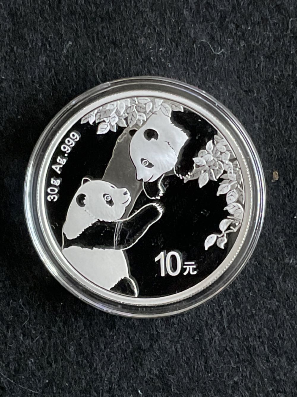 Discovery Park Of America (TRex Skull)