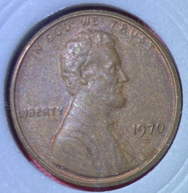 Magic Kingdom (Minnie)