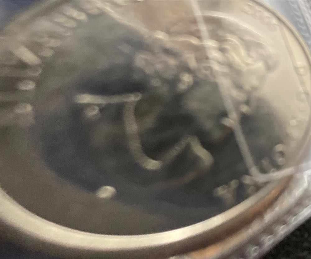 2019 Echoes Of Australian Fauna Tasmanian Devil