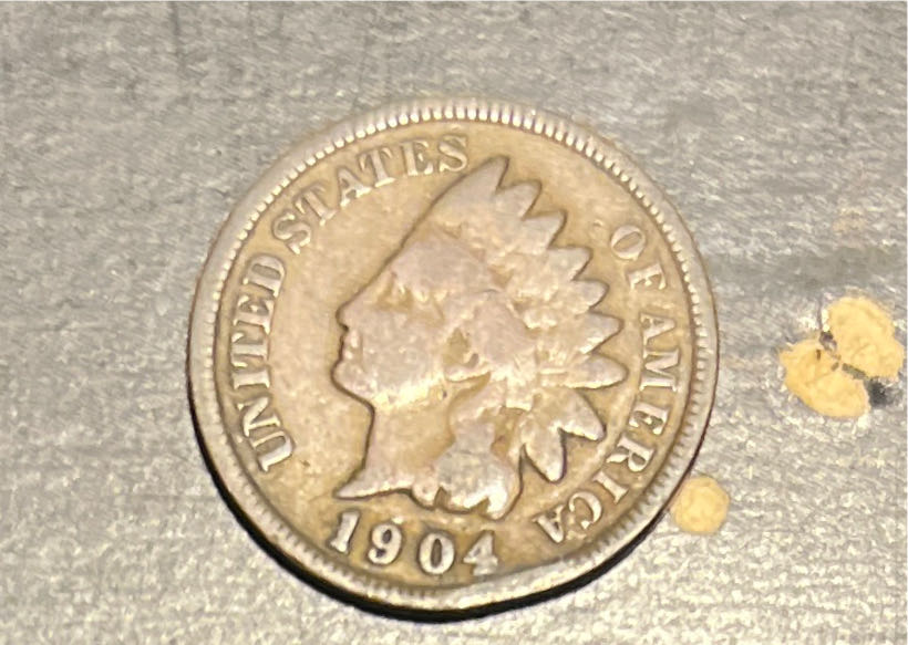 The Simpsons Bart Simpson BU Perth