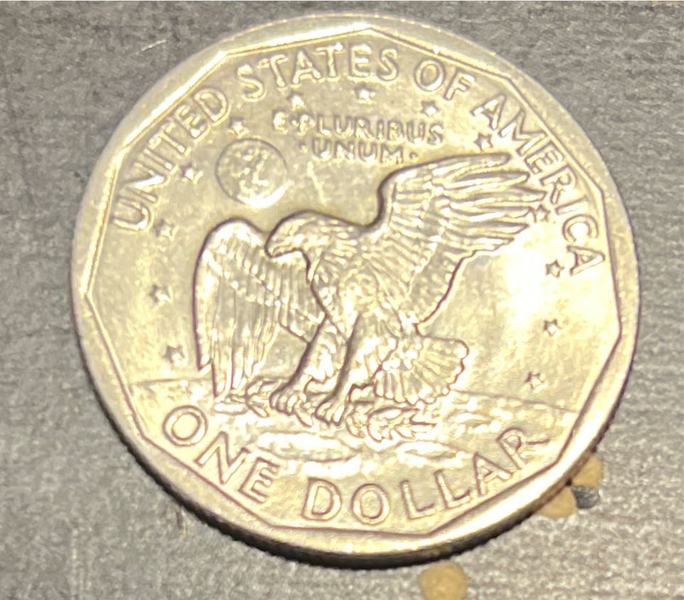 Susan B Anthony Dollar (SBA) - 1979 P  coin collectible - Main Image 2