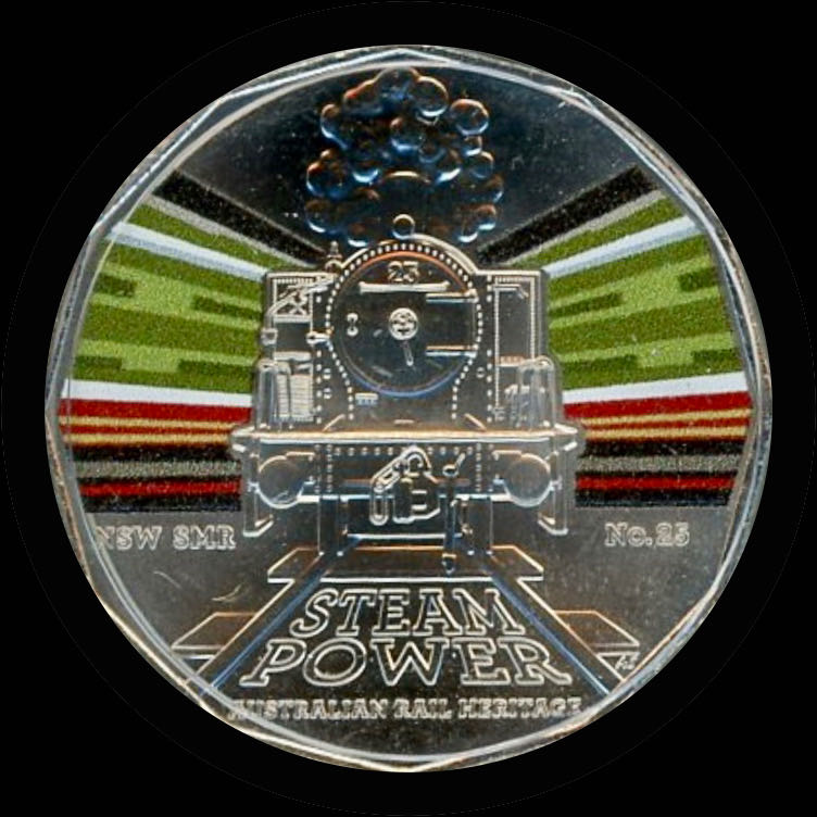 Ensemble Spécimen 2021 Tortue Mouchetée