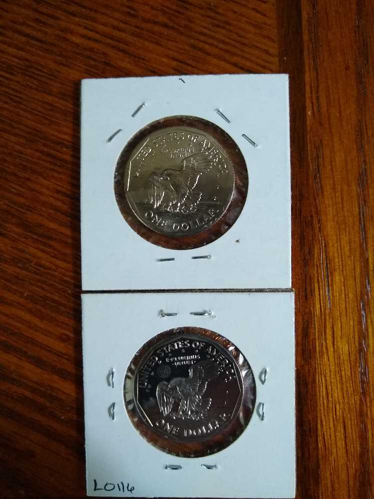 Susan B Anthony 1981 D&S  coin collectible - Main Image 2