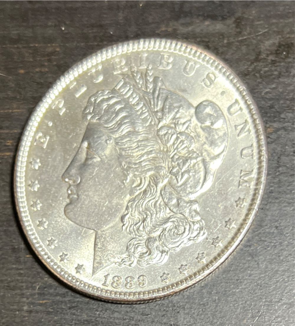 Field Museum (triceratops)